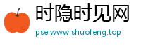 时隐时见网
